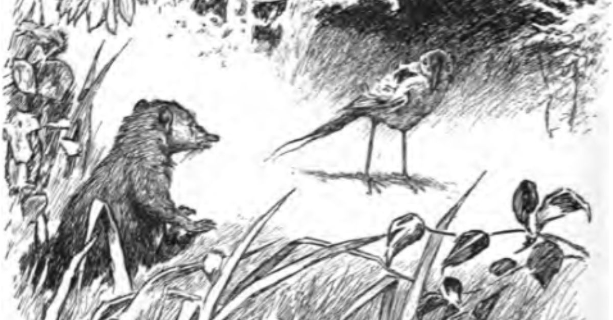 The Surprisingly Dark Inspiration For The Jungle Book