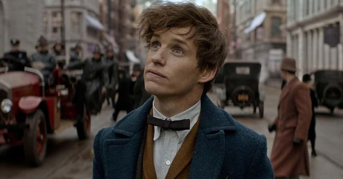 Magical Facts About Newt Scamander