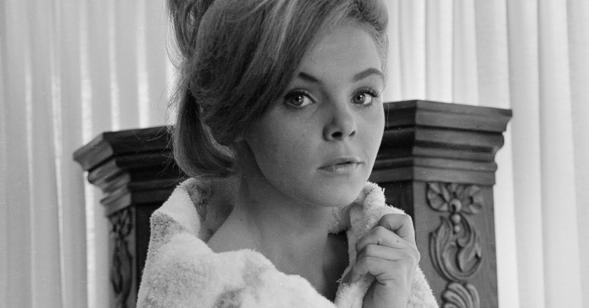 Unsolved Facts About Jenny Maxwell, The Mini Marilyn Monroe