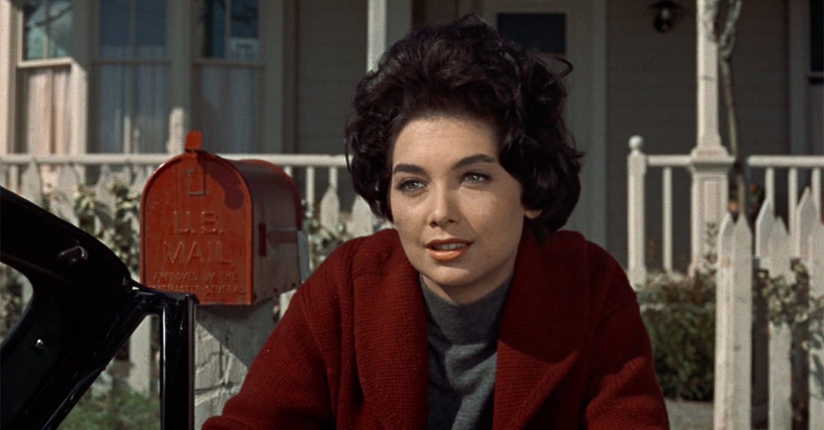 The Multifaceted Acting Career Of Suzanne Pleshette