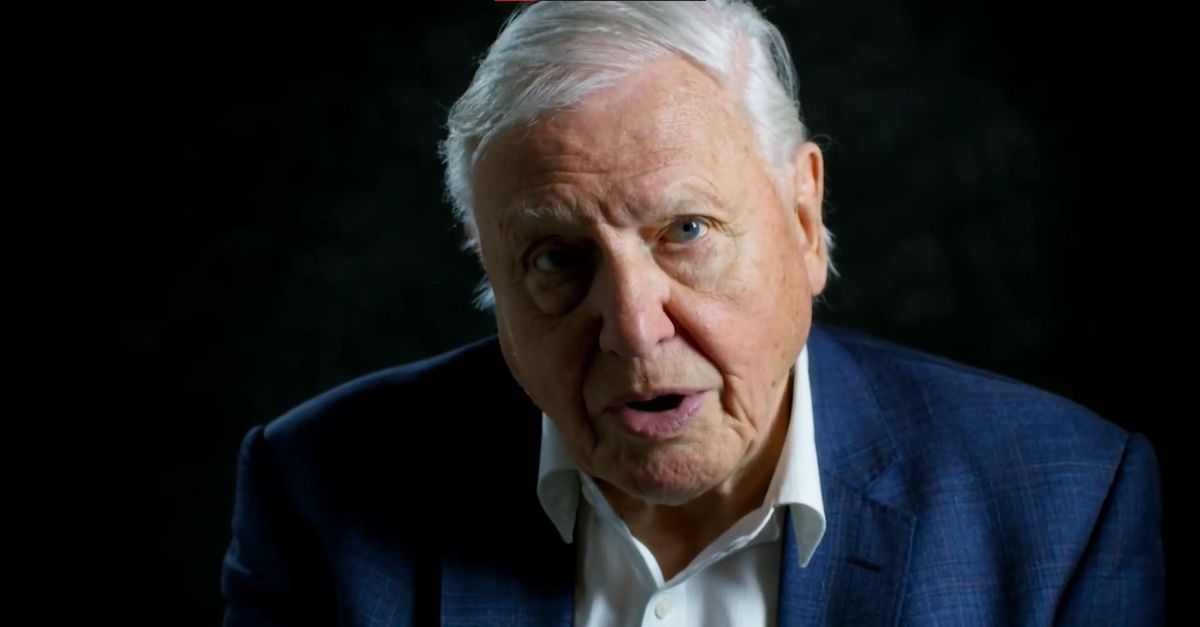 These Actors From The Golden Age Of Hollywood Are Still Alive