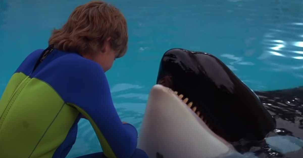 Movies That Made Everyone Cry In The 90s
