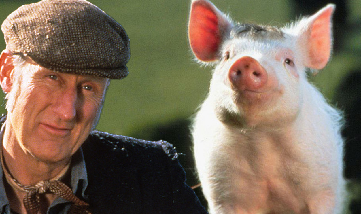 The Most Iconic Movie Animals