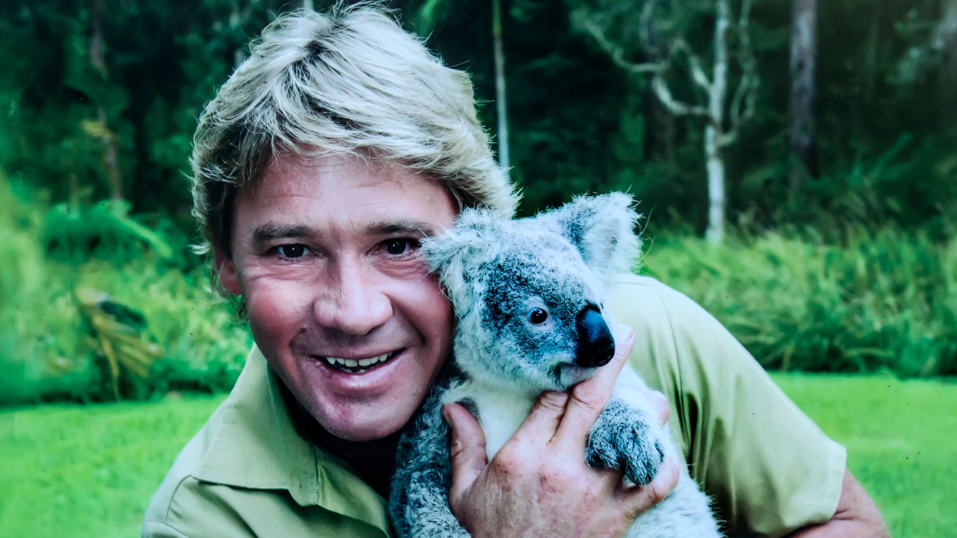 Steve Irwin was stung by a stingray while filming, and his haunting ...