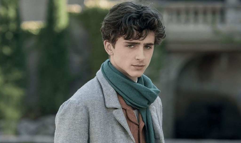 Timothee Chalamet's Most Memorable And Career-Defining Movie Roles