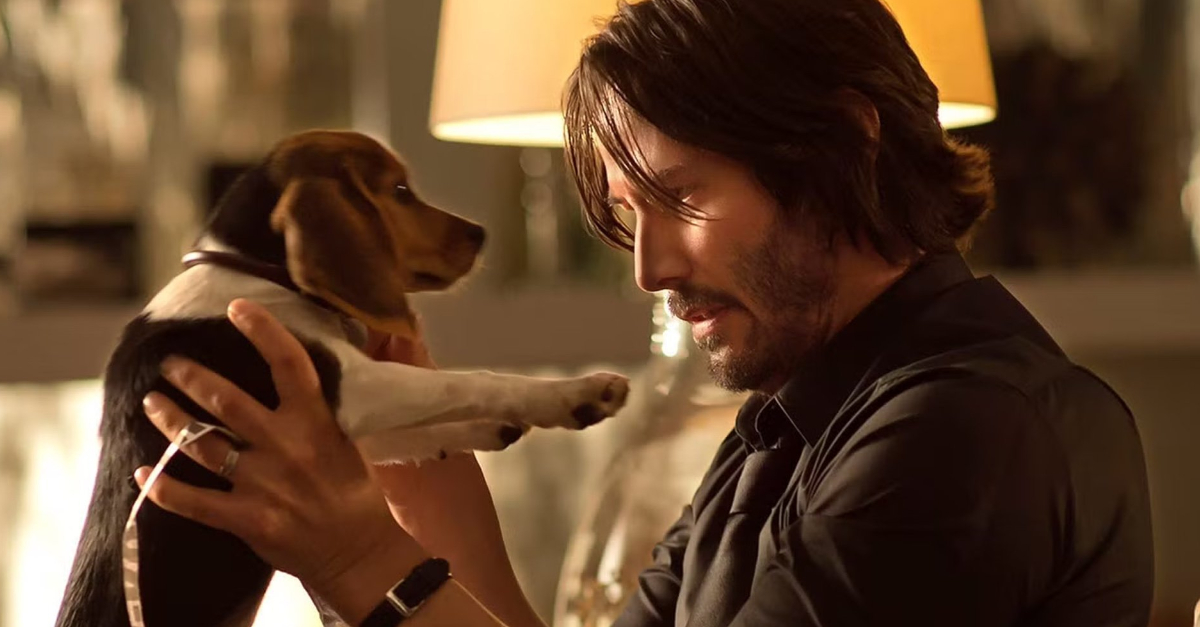 The Nicest Actors in Hollywood (According To The Crews Who Worked With Them)