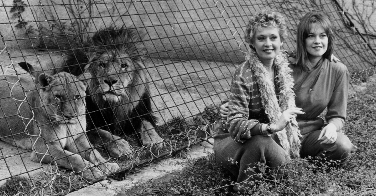 Tippi Hedren And Melanie Griffith