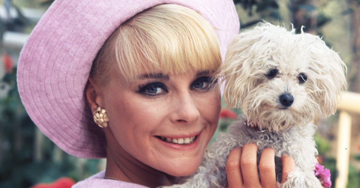 Elke Sommer with her dog