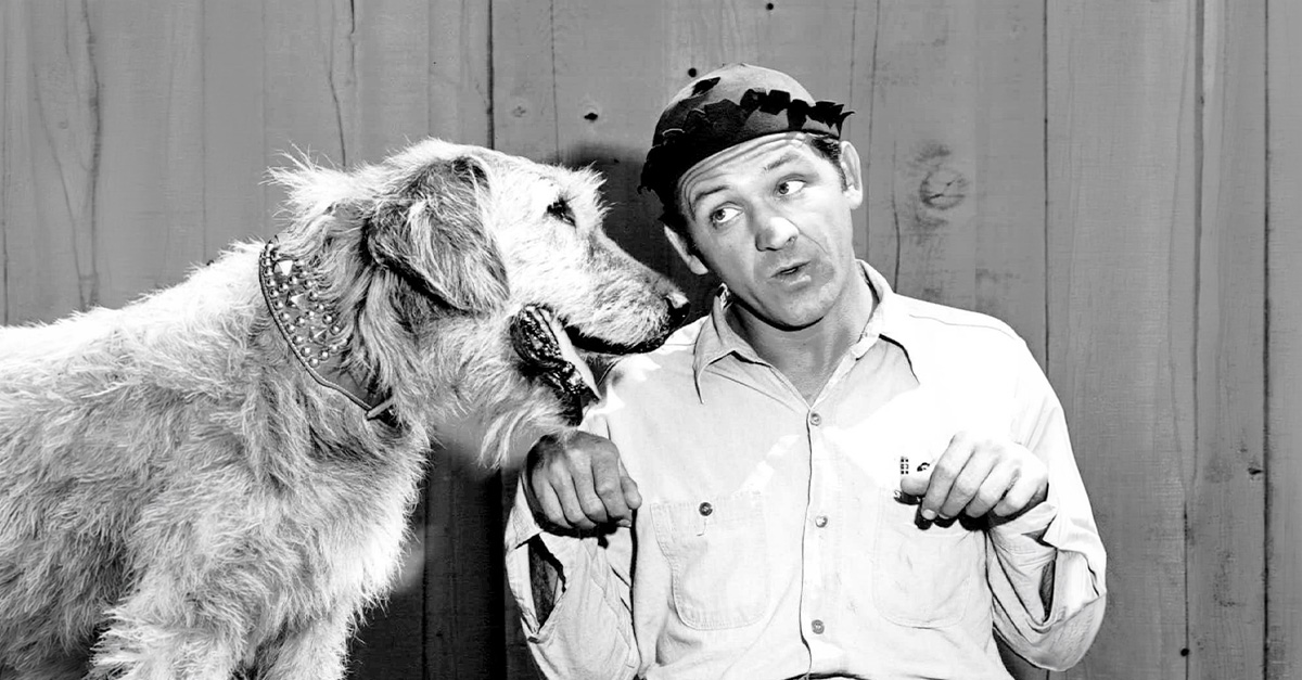 Fb Og Image - Goober Pyle
