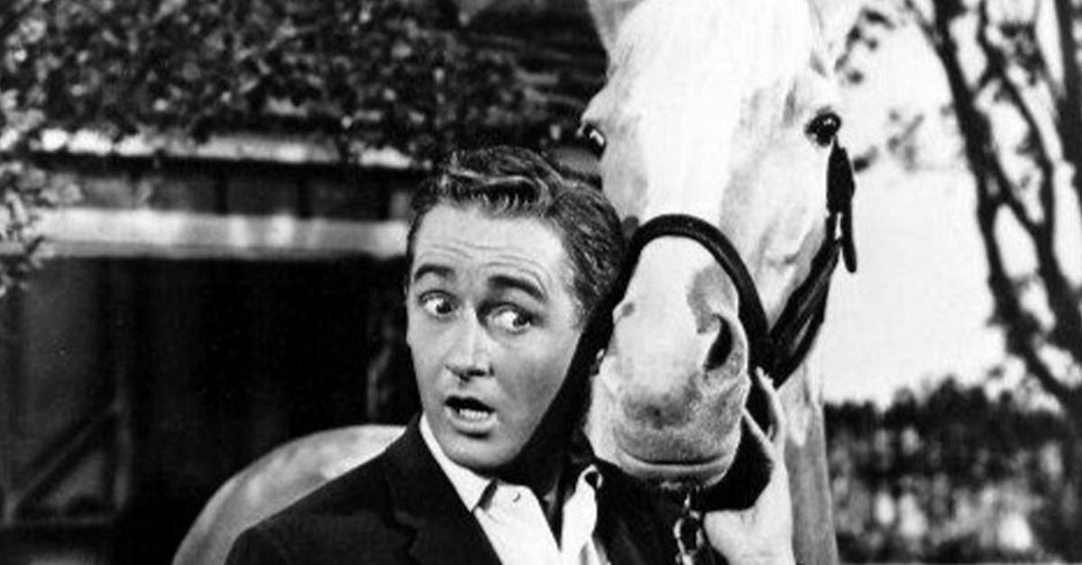 Fb Og Image - Mister Ed Alan Young