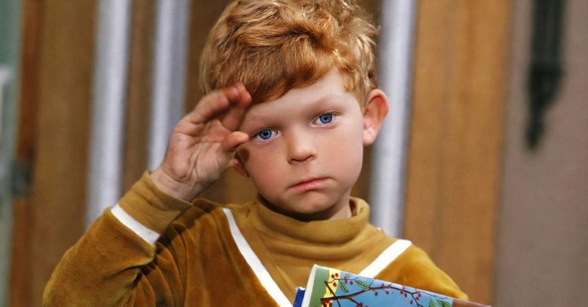 Johnny Whitaker, Family Affair